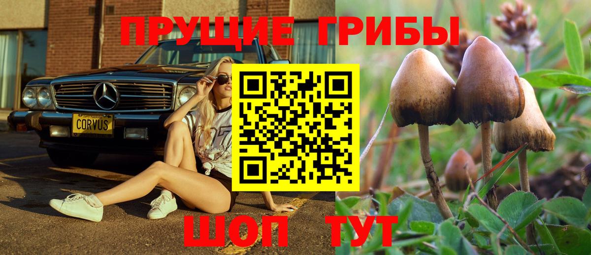 Псилоцибиновые грибы мухоморы  где купить наркотик  Тавда  Вход с VPN 