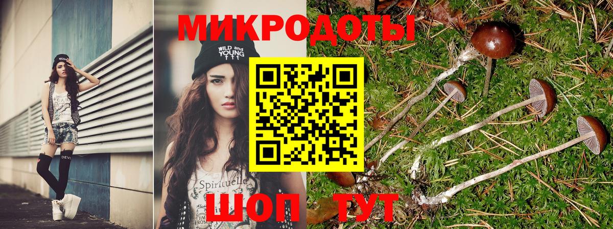 Псилоцибиновые грибы Psilocybe Тавда